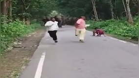 Viral: Wild elephants chase 3 men taking selfies in UP's Lakhimpur Kheri