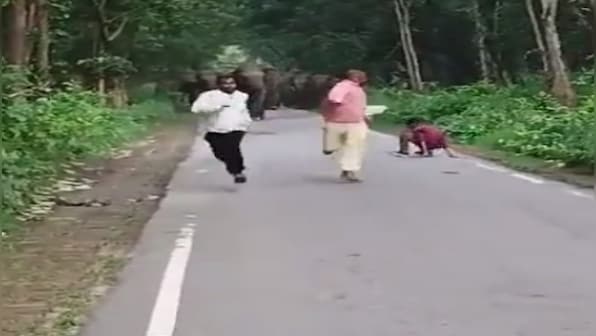 Viral: Wild elephants chase 3 men taking selfies in UP's Lakhimpur Kheri
