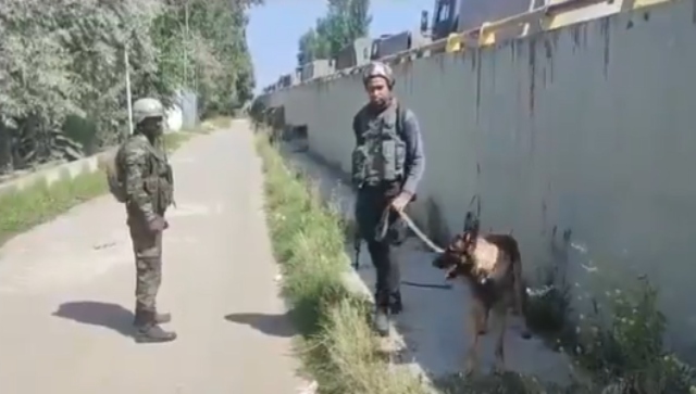 Terror alert in J&K: Suspicious bag found at Zangam flyover on Srinagar-Baramulla National Highway Terror alert in J&K: Suspicious bag found at Zangam flyover on Srinagar-Baramulla National Highway