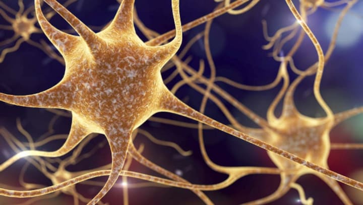 Unholy Union: Scientists are now trying to power AI using human brain cells