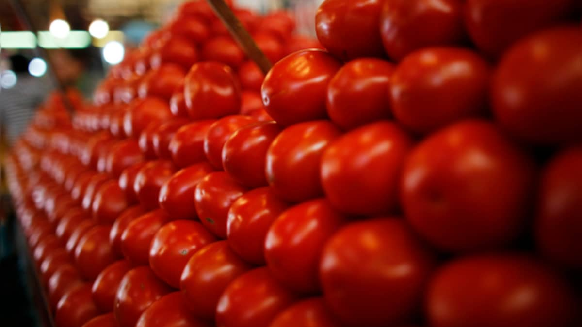 Tamil Nadu Govt initiates tomato sales via fair price shops to counterbalance soaring prices