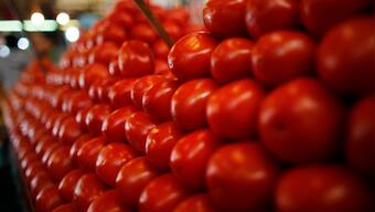 Tamil Nadu Govt initiates tomato sales via fair price shops to counterbalance soaring prices