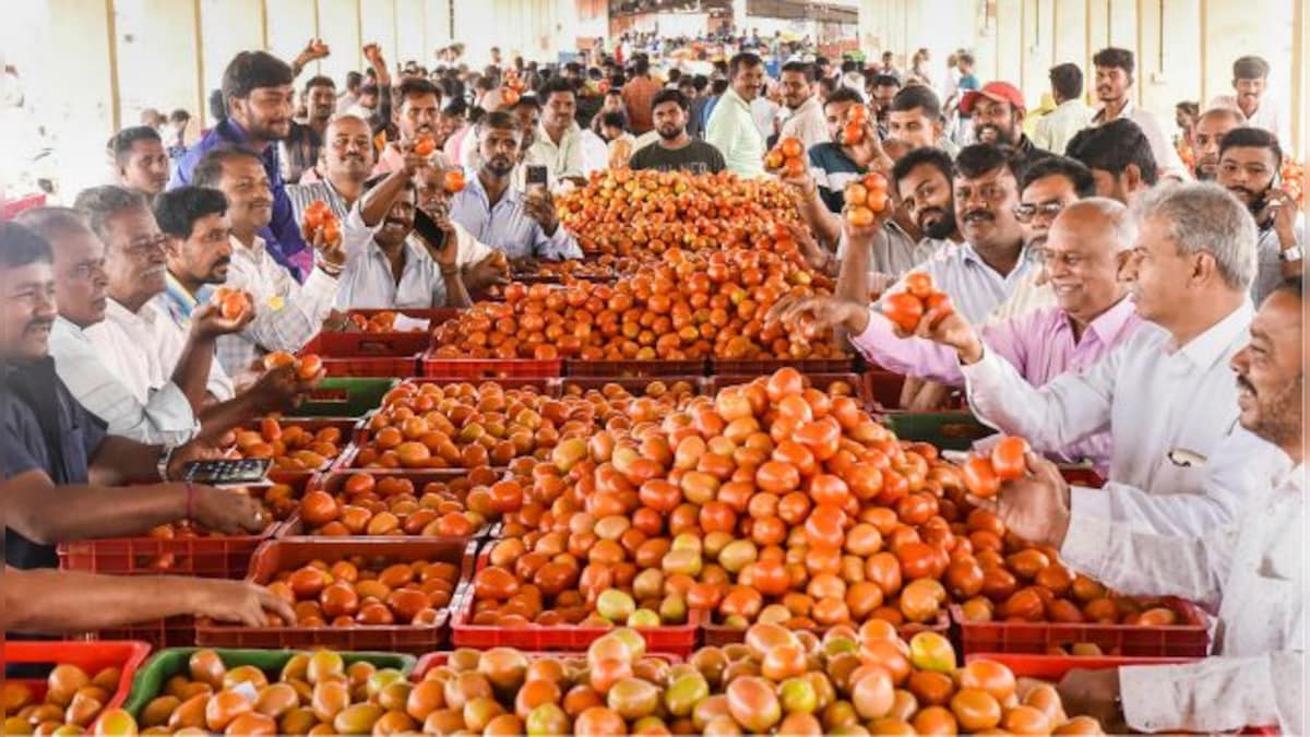 Rising prices: Why India is in tomato trouble again