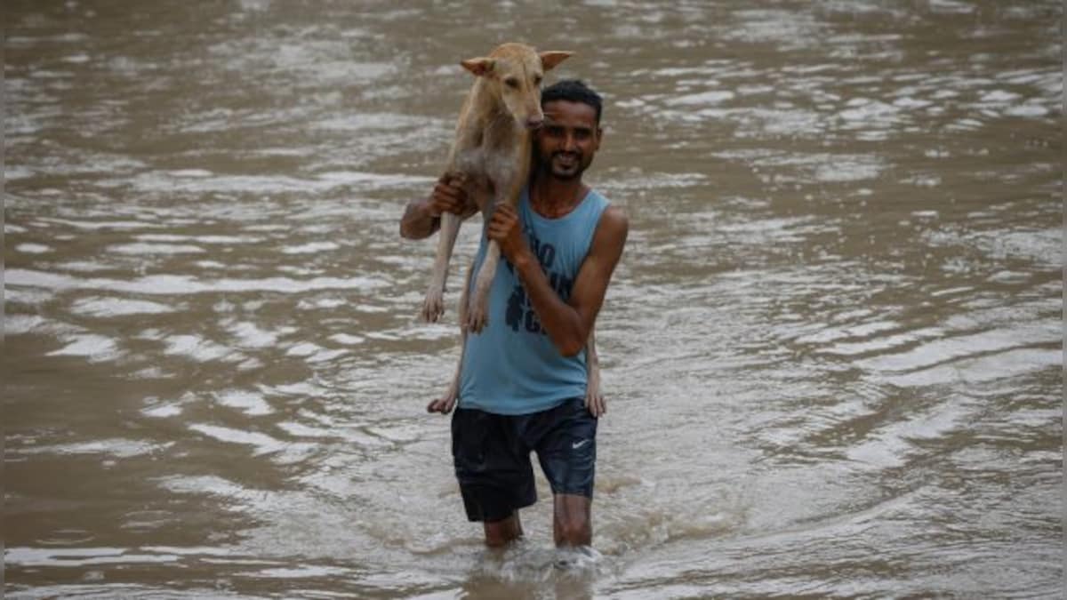 Delhi is flooding as Yamuna rises but is the worst yet to come?