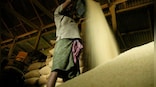 Will India’s rice export ban cause surge in prices globally?