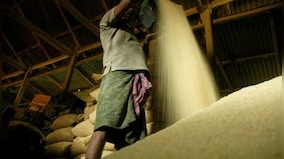 Will India’s rice export ban cause surge in prices globally?