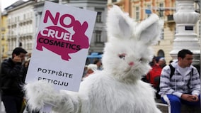 Canada ends cosmetic animal testing: Ugly truth behind practice