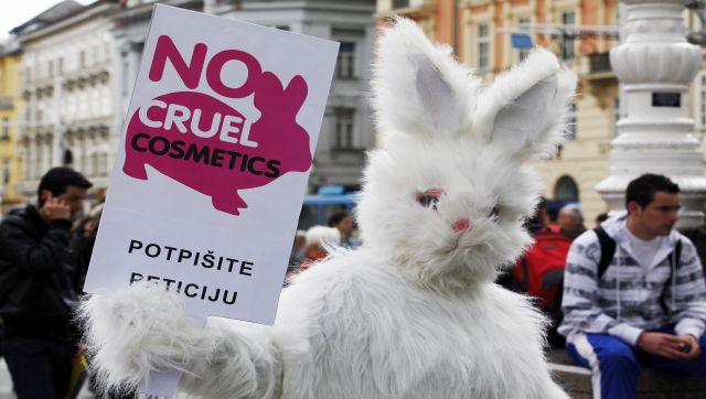 Canada ends cosmetic animal testing: Ugly truth behind practice Canada ends cosmetic animal testing: Ugly truth behind practice