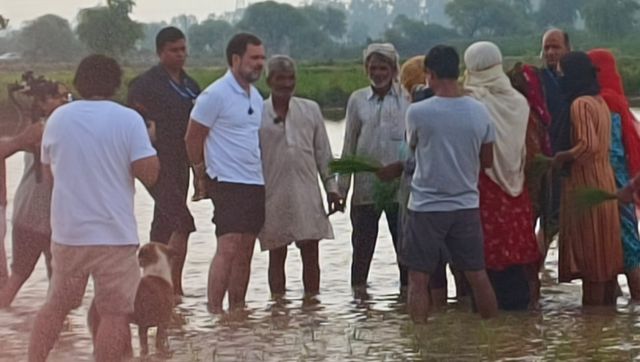 Rahul Gandhi makes impromptu visit to Haryana's Sonipat; interacts with villagers, rides tractor Rahul Gandhi makes impromptu visit to Haryana's Sonipat; interacts with villagers, rides tractor