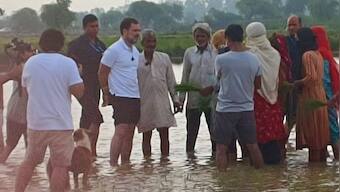 Rahul Gandhi makes impromptu visit to Haryana's Sonipat; interacts with villagers, rides tractor