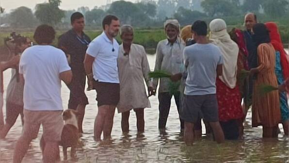 Rahul Gandhi makes impromptu visit to Haryana's Sonipat; interacts with villagers, rides tractor