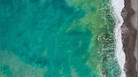 Turning Green: Why oceans are changing colour