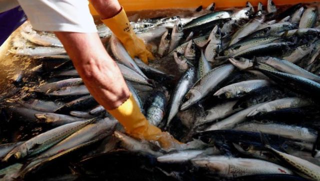 China wary of Fukushima radioactive water discharge into ocean, to intensify ban on import of seafood from Japan China wary of Fukushima radioactive water discharge into ocean, to intensify ban on import of seafood from Japan