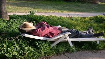 Germany’s heatwave and the debate over siestas, explained