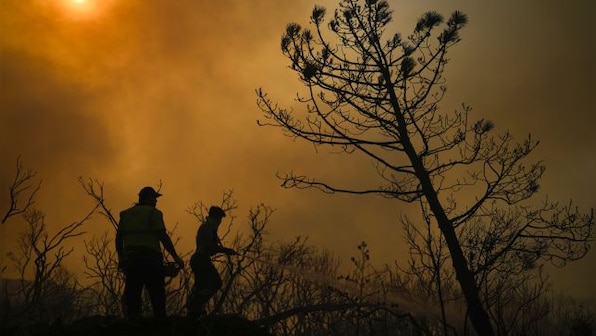 ‘Era of global boiling’: Who are chief heat officers and can they tackle extreme temperatures?