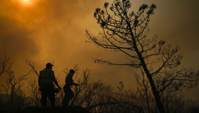 ‘Era of global boiling’: Who are chief heat officers and can they tackle extreme temperatures? ‘Era of global boiling’: Who are chief heat officers and can they tackle extreme temperatures?