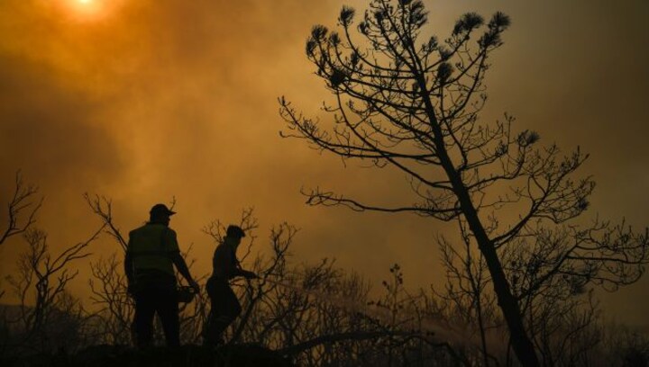 ‘Era of global boiling’: Who are chief heat officers and can they tackle extreme temperatures?