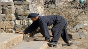 'Backward evolution': All we know about the Turkish family that walks on all fours