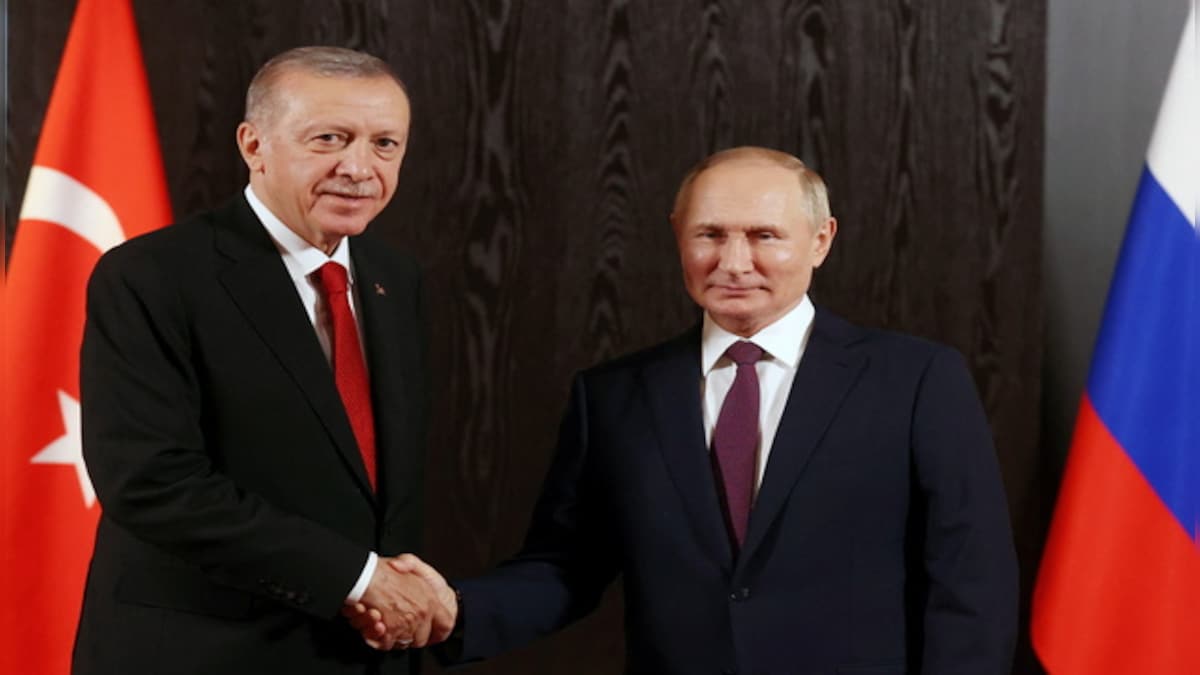 Turkish President Erdogan says Putin may visit Turkey in August