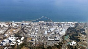 Russia suspends Japanese seafood imports