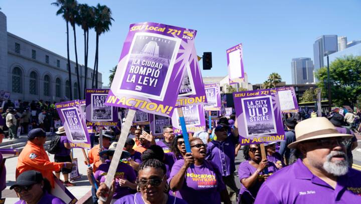 Thousands of Los Angeles city workers stage one-day strike, allege unfair labour practices