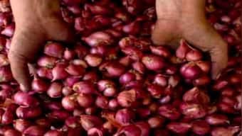 NCCF procures 2,826 tonnes onion from farmers for buffer stock; to scale up buying in coming days