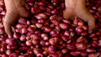 Centre starts releasing onions in key markets from buffer stock to rein in prices