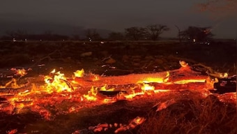 Hawaii wildfires: What is the environmental impact of deadly blaze?