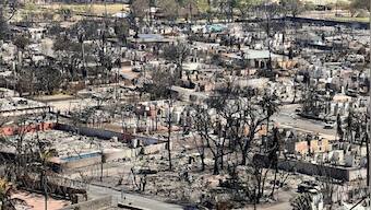 Hawaii wildfire: Death toll surge to 80 as survivors begin returning to communities in ruins