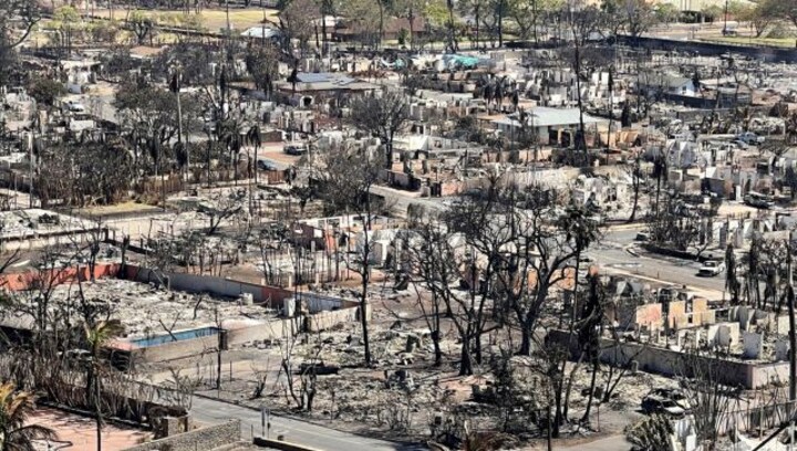Hawaii wildfire: Death toll surge to 80 as survivors begin returning to communities in ruins