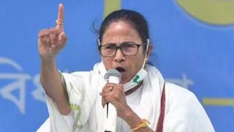 Bengal governor interfering in state's matters, says Mamata after anti-corruption cell formed in Raj Bhavan