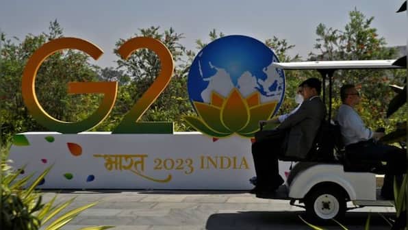 Russian President Vladimir Putin won't visit India for G20 summit