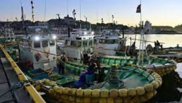 Japan says no radioactive isotope found in fish near Fukushima nuclear plant Japan says no radioactive isotope found in fish near Fukushima nuclear plant