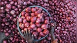 After tomatoes, now onions at subsidised rate: How Centre is fighting food inflation