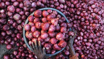 After tomatoes, now onions at subsidised rate: How Centre is fighting food inflation