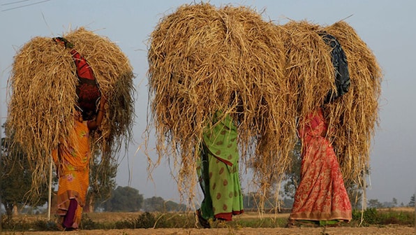 Budget 2024: These are the many hopes and aspirations of India's social development sector