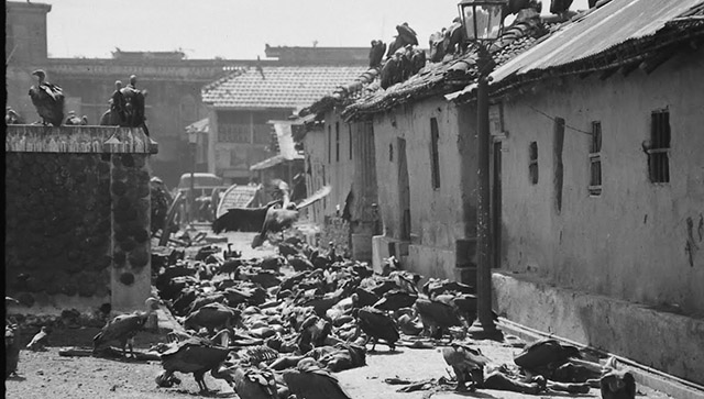 Horrors of partition of Bengal: Coming to terms with the unforgiving reality of pogrom of Hindus Horrors of partition of Bengal: Coming to terms with the unforgiving reality of pogrom of Hindus