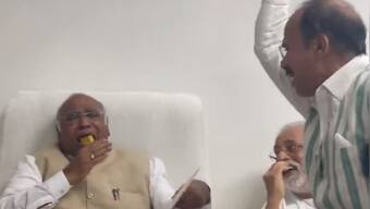 WATCH: Excited on Rahul Gandhi's return, spirited Adhir Ranjan stuffs sweets into Mallikarjun Kharge's mouth