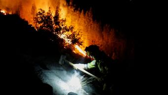 Thousands evacuated as wildfire on Spain's Tenerife island spreads