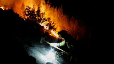 Thousands evacuated as wildfire on Spain's Tenerife island spreads