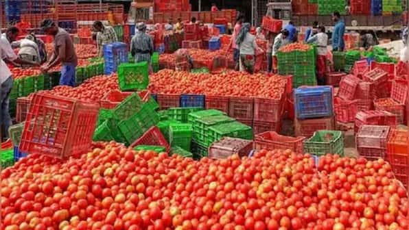 Burger King stops using tomatoes in food items amid soaring retail prices