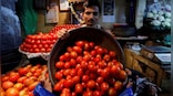It’s Rs 250 per kg now: Why are tomato prices climbing up again?