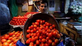 It’s Rs 250 per kg now: Why are tomato prices climbing up again?