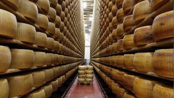 Death by Cheese: Italian man crushed by toppling cheese wheels in warehouse mishap