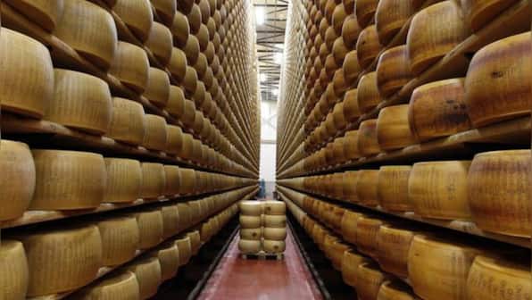 Death by Cheese: Italian man crushed by toppling cheese wheels in warehouse mishap
