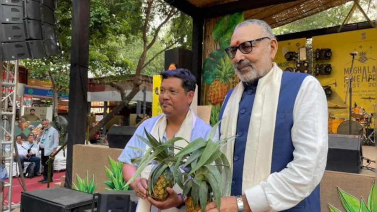 'Happy that Meghalaya's pineapples are getting recognition in domestic, international markets': PM Modi