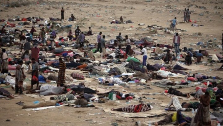 'Saudi Arabian border guards killing hundreds of Ethiopians trying to enter country'