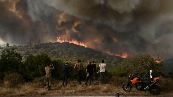 'Arsonist Scum': Wildfires raging in Greece prompt 79 arrests