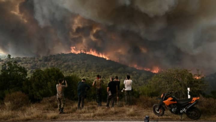 'Arsonist Scum': Wildfires raging in Greece prompt 79 arrests