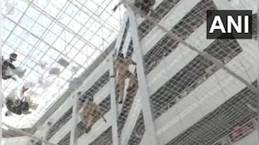 WATCH: Farmers jump in the well of Maharashtra Mantralaya building, use safety nets as bouncy